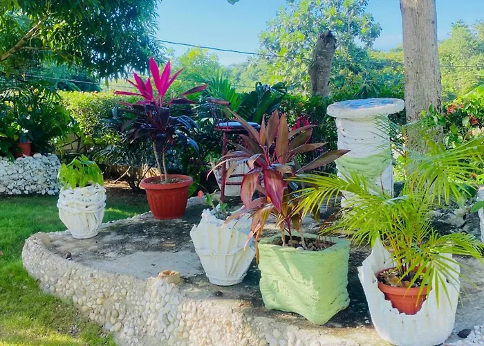 Apartamento Cindy's Garden *