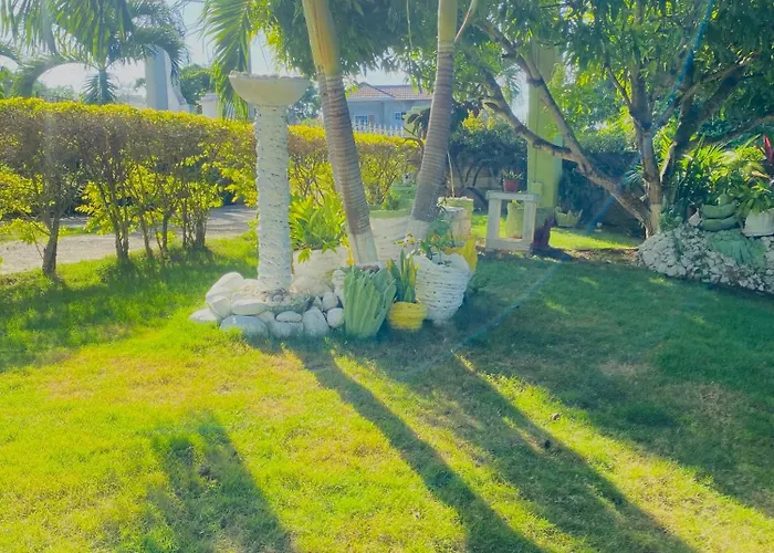 Cindy's Garden *