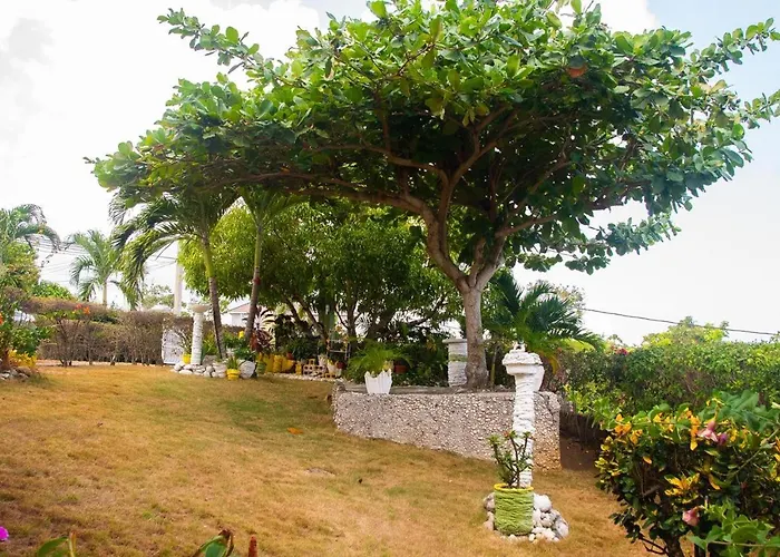 Cindy's Garden * Ocho Ríos