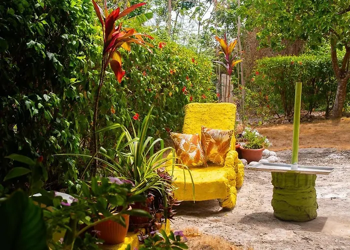 Cindy's Garden